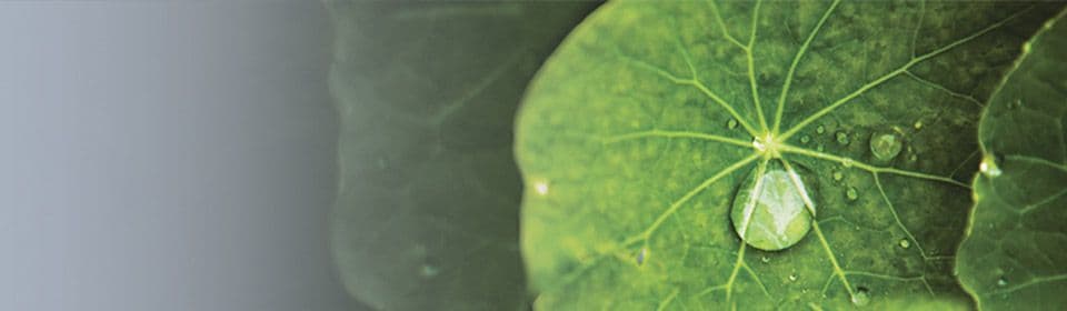 VARTA Ecosteps - Reciclaje de baterías